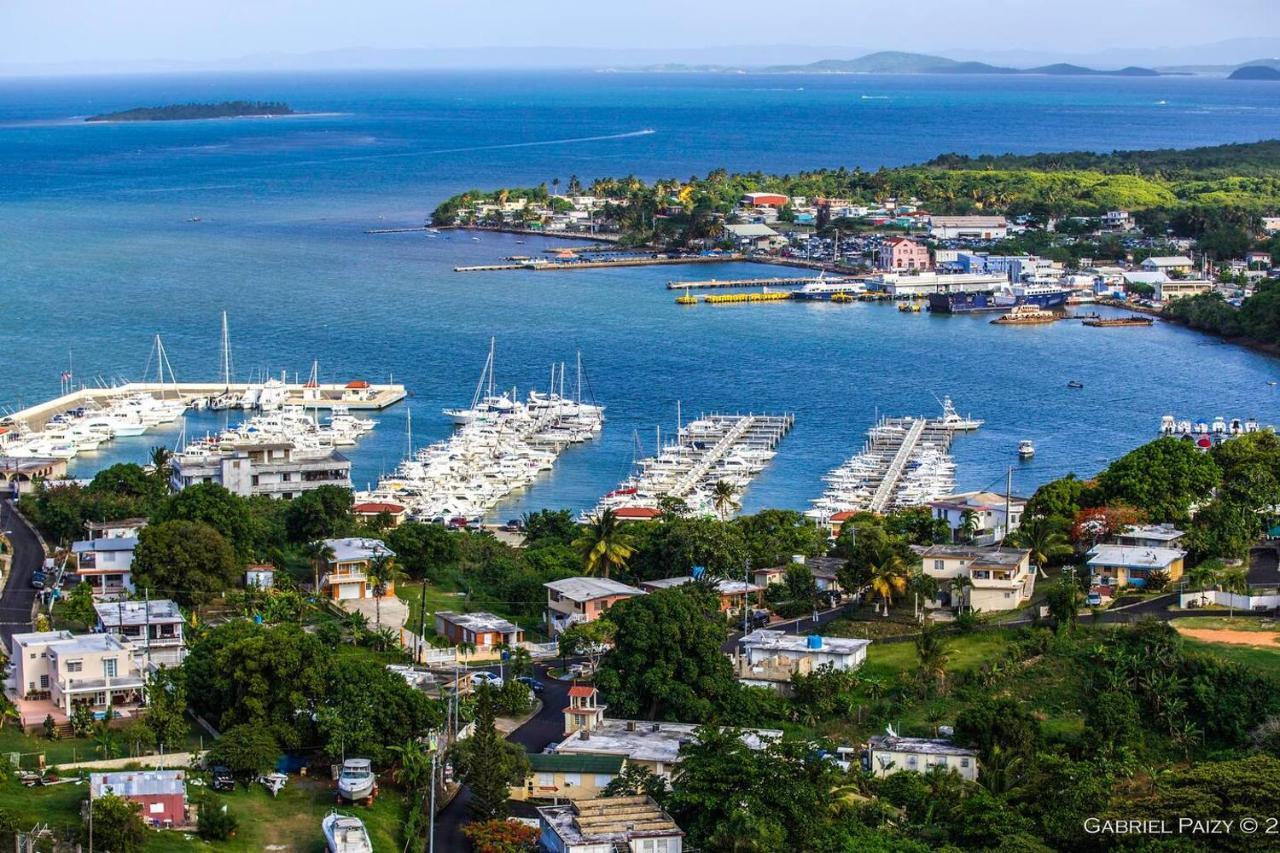 Waterfront Studio At Fajardo, Puerto Rico Екстер'єр фото